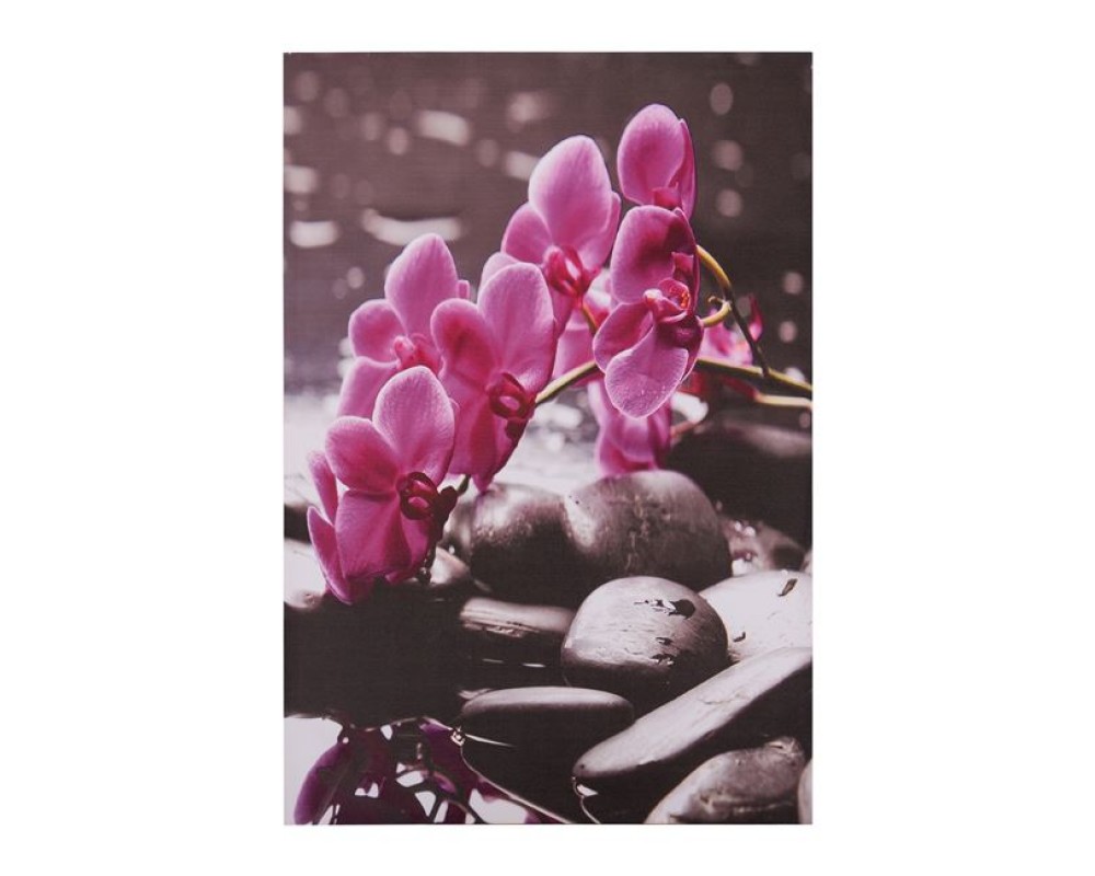 Картина Pink Orchid - Стенни декорации и картини