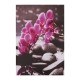 Картина Pink Orchid - Стенни декорации и картини