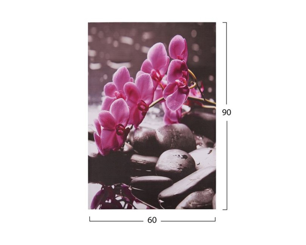Картина Pink Orchid - Стенни декорации и картини