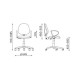 Regal White Koala - Regal White Koala -