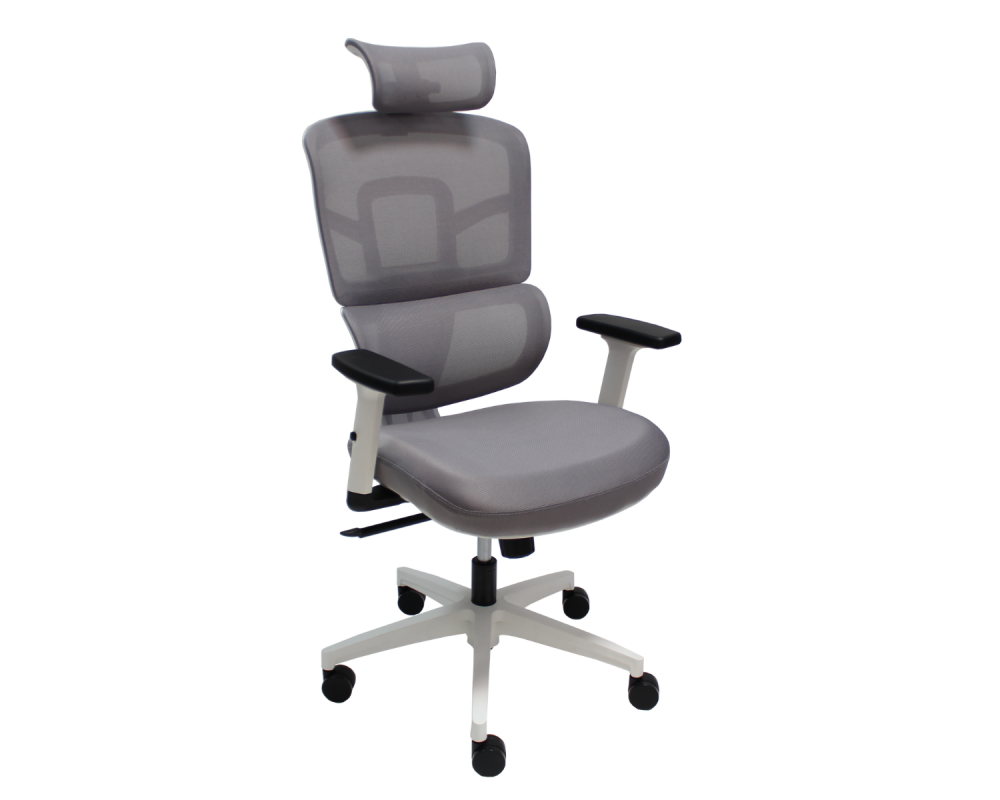 Ergo - Ergo White - Ergo - Ergo White -