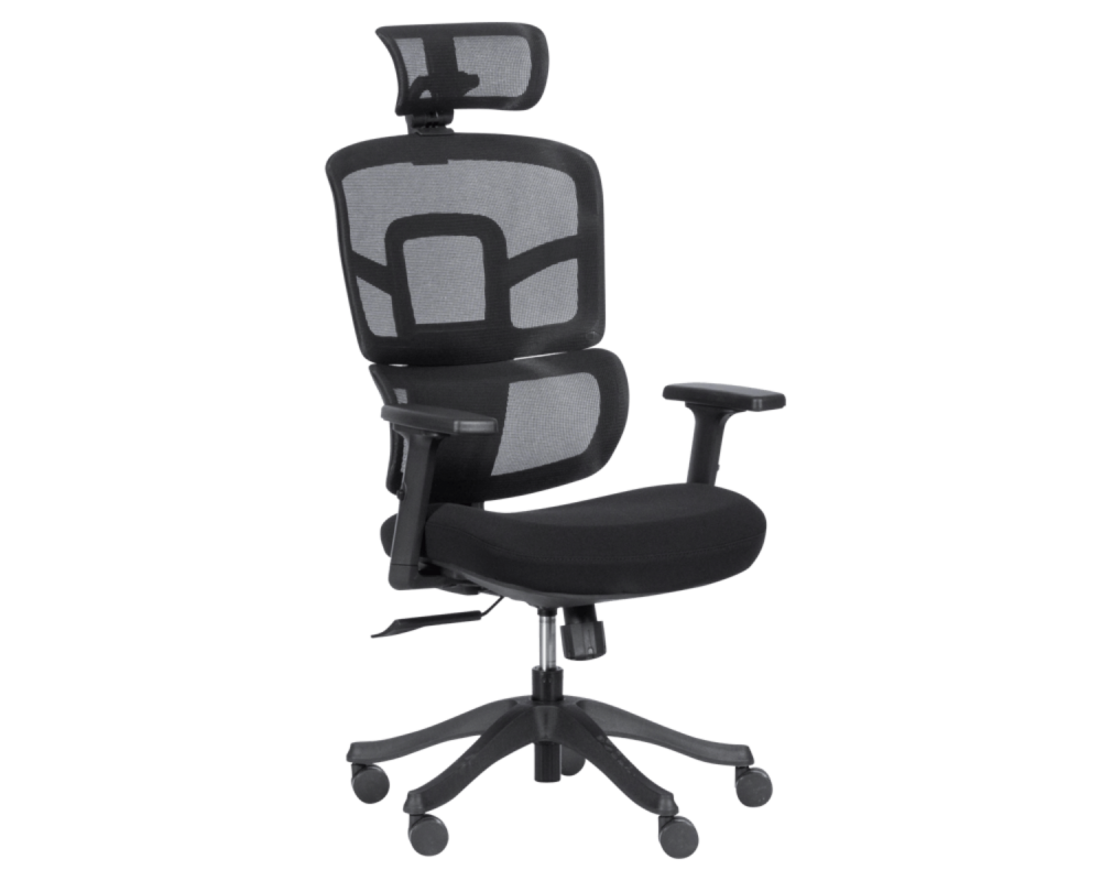 Ergo - Ergo Black - Ergo - Ergo Black -