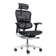 Ergohuman NEW - Ergohuman Black - Ergohuman NEW - Ergohuman Black -