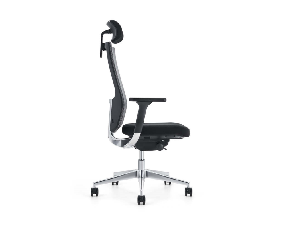 Shape Black - Shape Black -