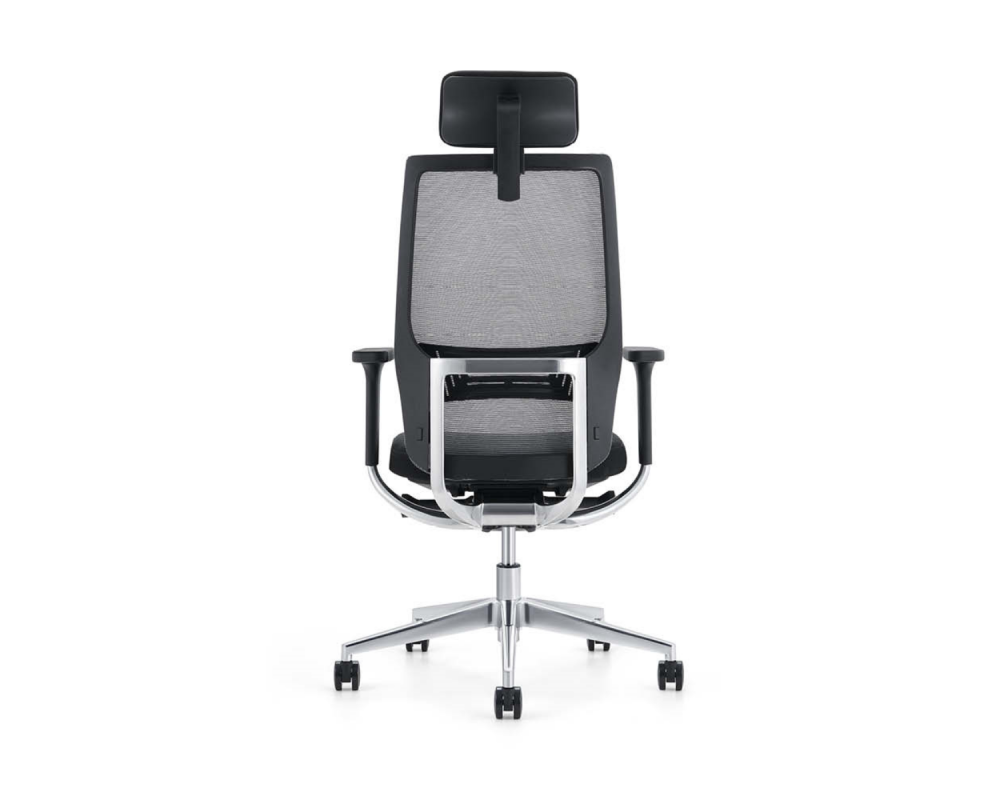 Shape Black - Shape Black -