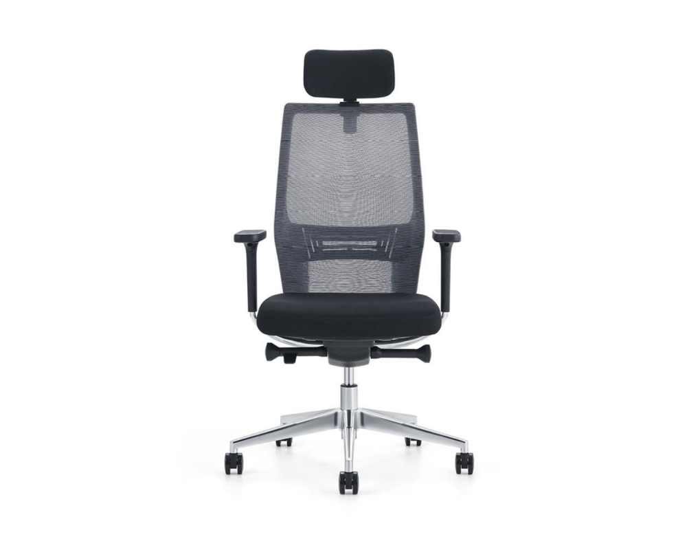 Shape Black - Shape Black -