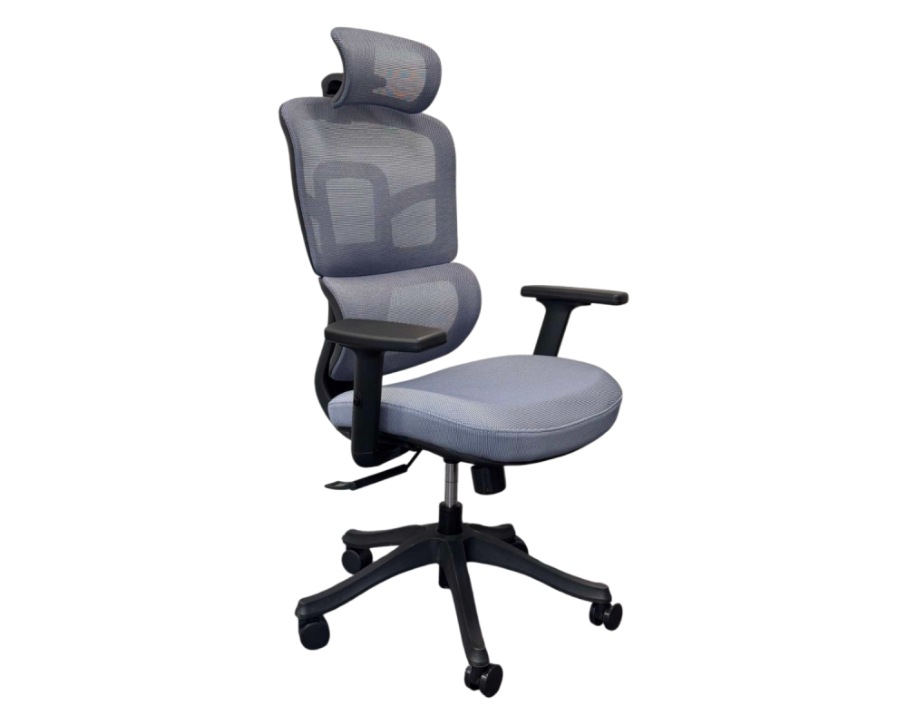Ergo Black - Ergo Blue - Ergo Black - Ergo Blue -