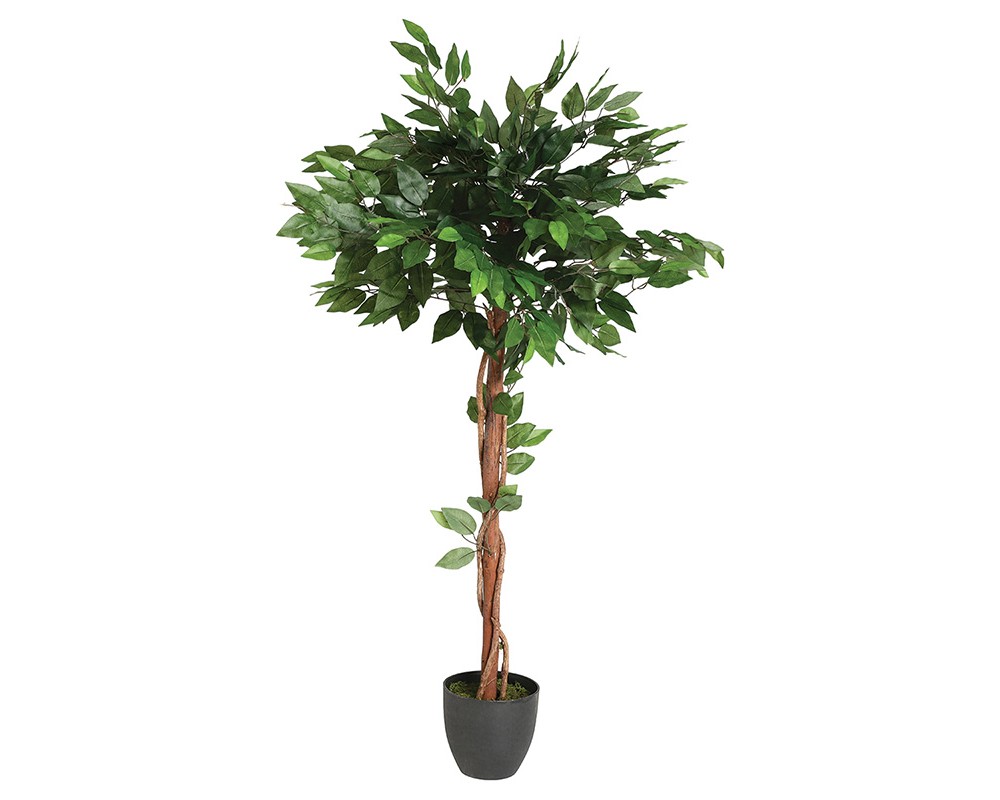 Декоративно саксийно растение Green 8 , 77x77x130cm - Декор